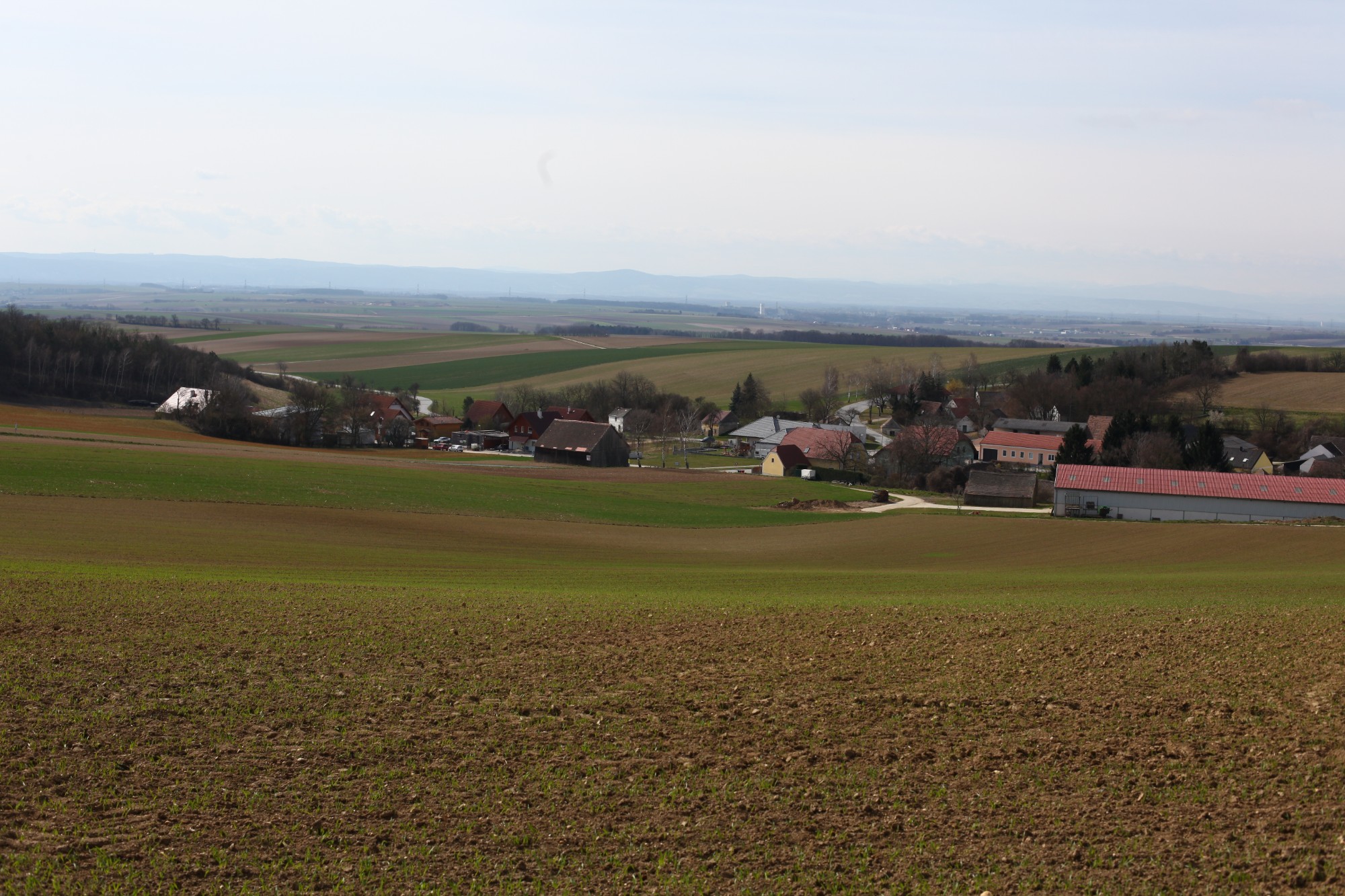 Blick auf Ringendorf